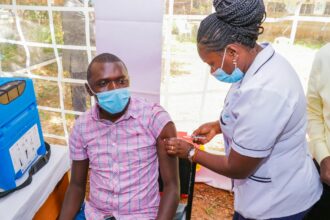Bar chart showing influenza subtypes detected in African surveillance week 19