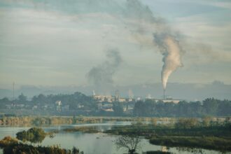 Scientific illustration showing air pollution particles affecting brain and lung health