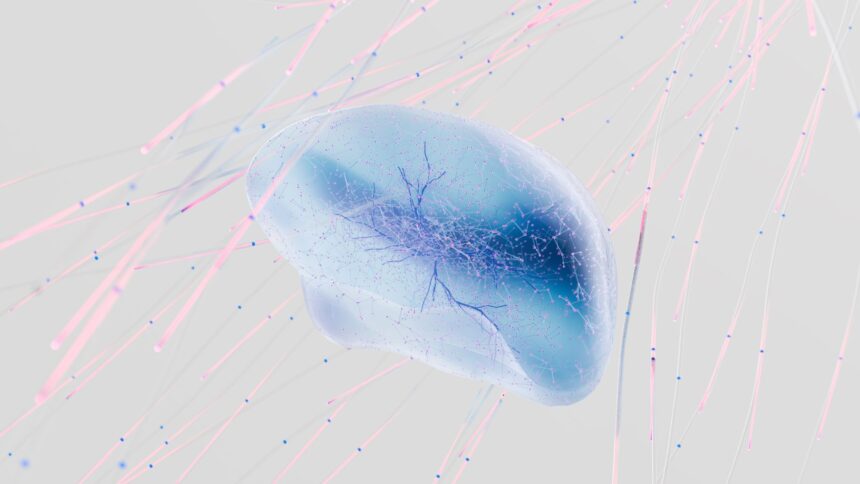Illustration of brain's glymphatic system showing waste clearance pathways and cellular networks