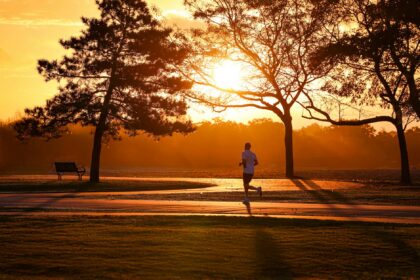 Illustration of brain neurons activating after exercise session