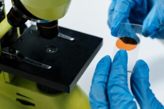 CAR-T cell attacking autoimmune B cells under microscope