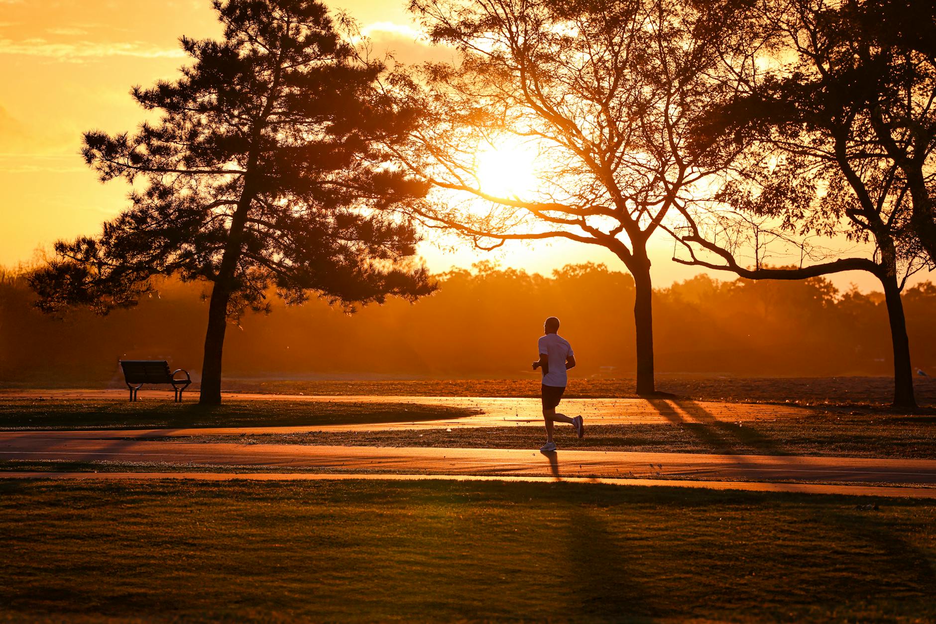 Carbohydrate Intake During Exercise Shows Modest Muscle Glycogen ...