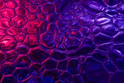 Scientific illustration of protein wave patterns sweeping across fertilized egg surface