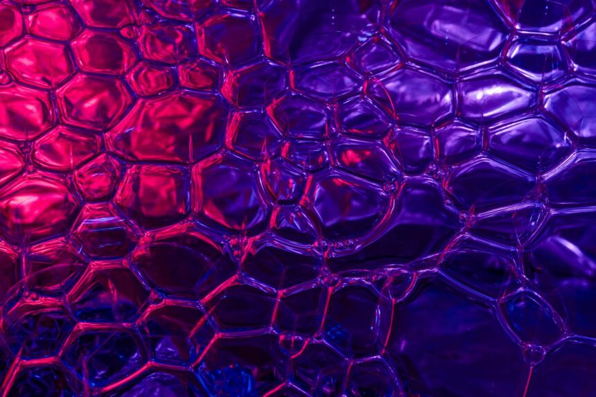 Scientific illustration of protein wave patterns sweeping across fertilized egg surface