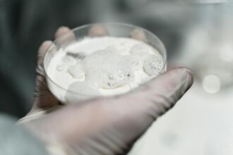 Scientific comparison chart showing evidence quality between creatine muscle and brain research