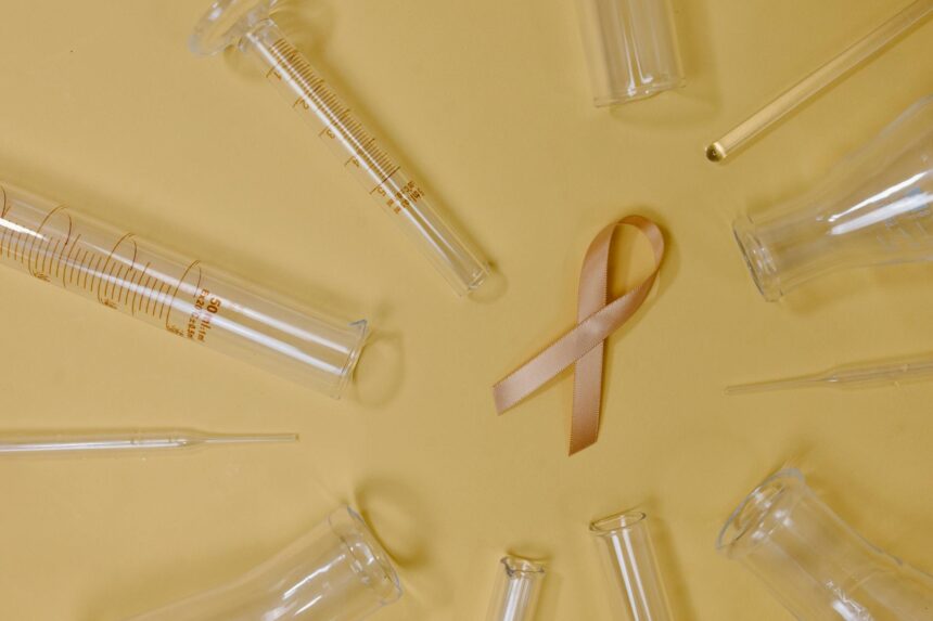 Microscopic view of pancreatic cancer organoids in engineered biomaterial scaffold showing cellular transitions