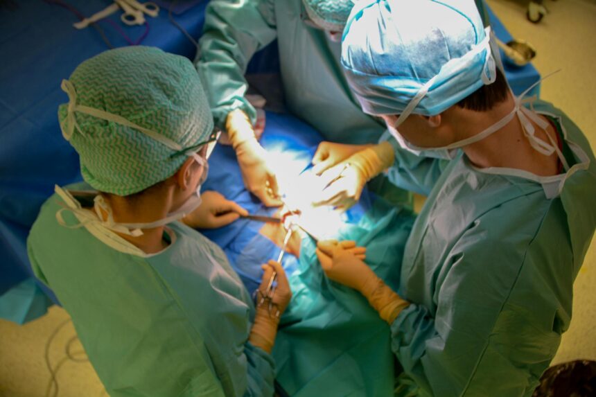 Medical professional discussing liver transplant care pathway with patient