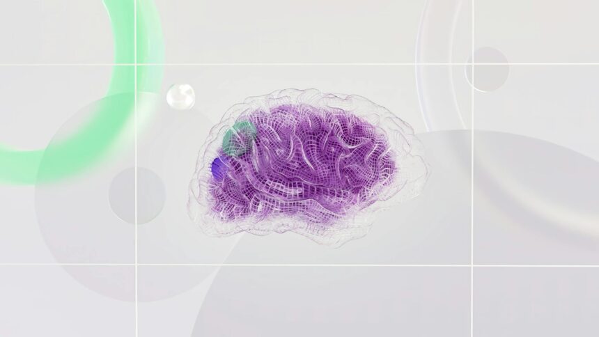 Microscopic view of lab-grown brain organoids showing neural connections and regenerating nerve fibers