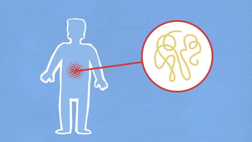 Healthcare workers conducting disease surveillance in Latin American community