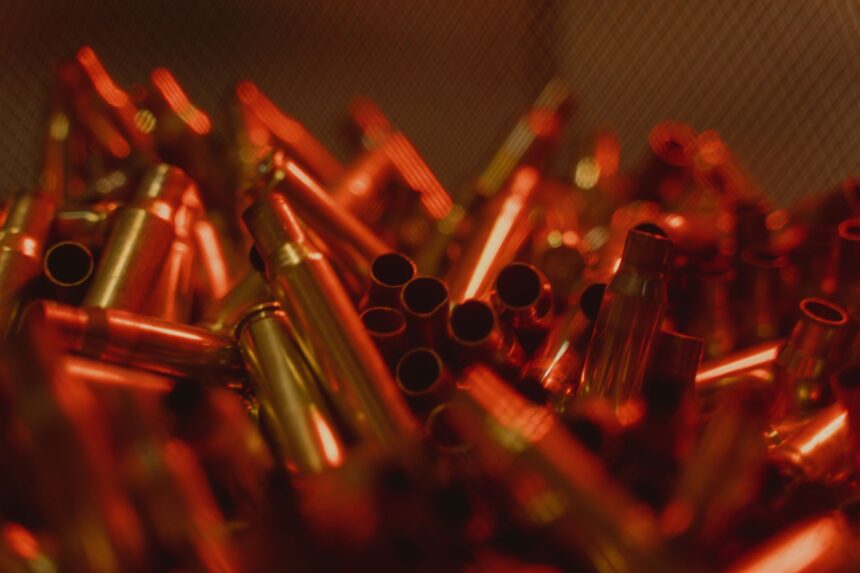 Infographic showing wildlife deaths from lead ammunition poisoning with statistics and affected species