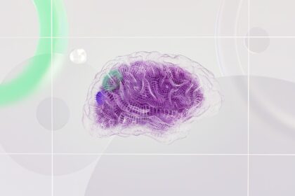 Functional MRI brain scans showing neural network fragmentation from alcohol at identical BAC levels