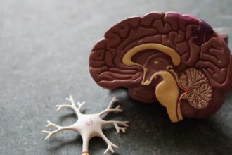 Illustration of amino acid molecules and neuronal synapses, representing the link between protein and brain chemistry