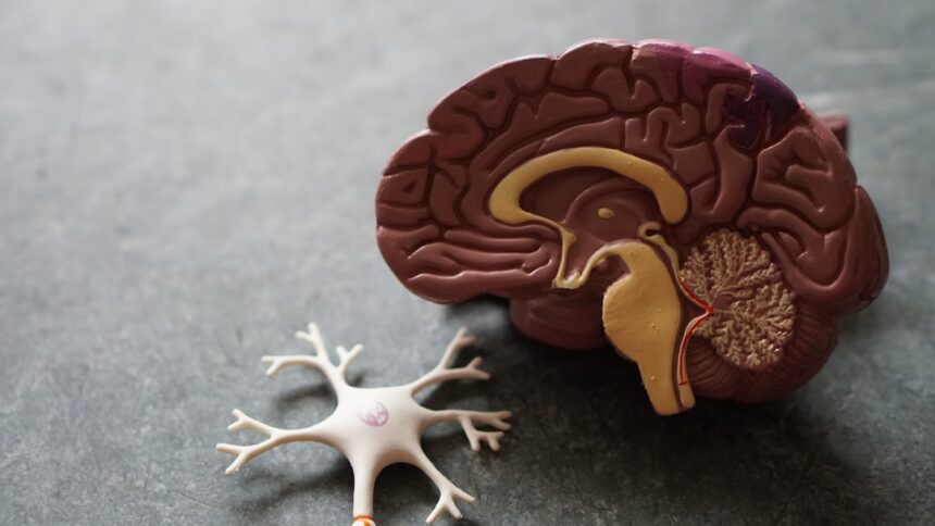 Illustration of amino acid molecules and neuronal synapses, representing the link between protein and brain chemistry