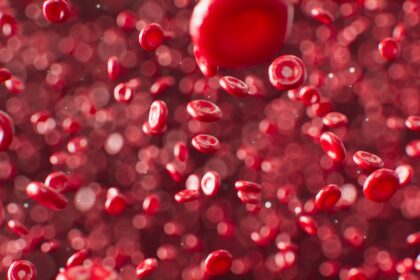 Infographic comparing ABO blood group risk in severe Plasmodium falciparum malaria, showing type O protective effect