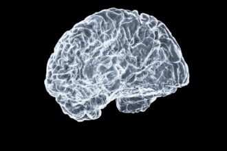 Illustration of brain energy metabolism and micronutrient pathways supporting neurotransmitter synthesis