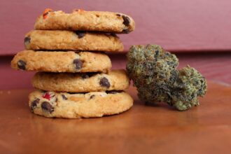 Scientific diagram showing increased driving impairment levels when cannabis edibles are combined with alcohol