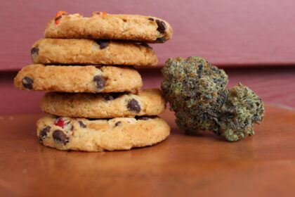 Scientific diagram showing increased driving impairment levels when cannabis edibles are combined with alcohol