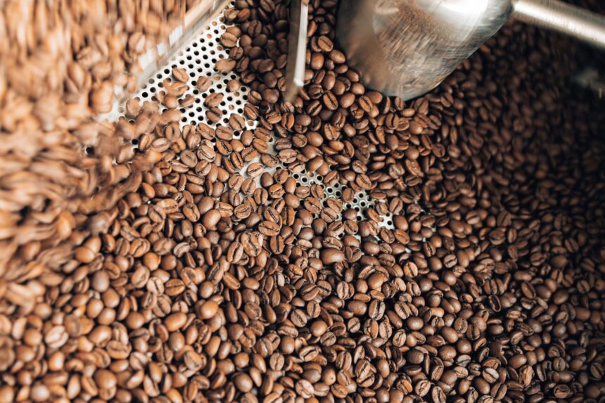 Bar chart comparing chlorogenic acid content across light, medium, and dark roasted coffee beans