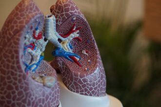 Digital representation of lung transplant technology and ex vivo perfusion systems