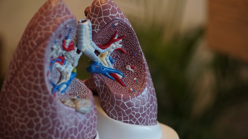 Digital representation of lung transplant technology and ex vivo perfusion systems