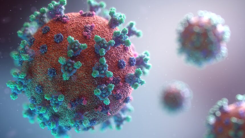 European public health experts at ECDC respiratory virus surveillance network meeting in Vienna