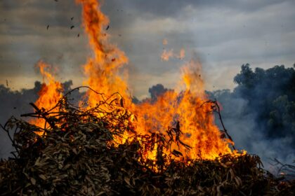 Medical professionals reviewing air quality data and wood stove health impact research