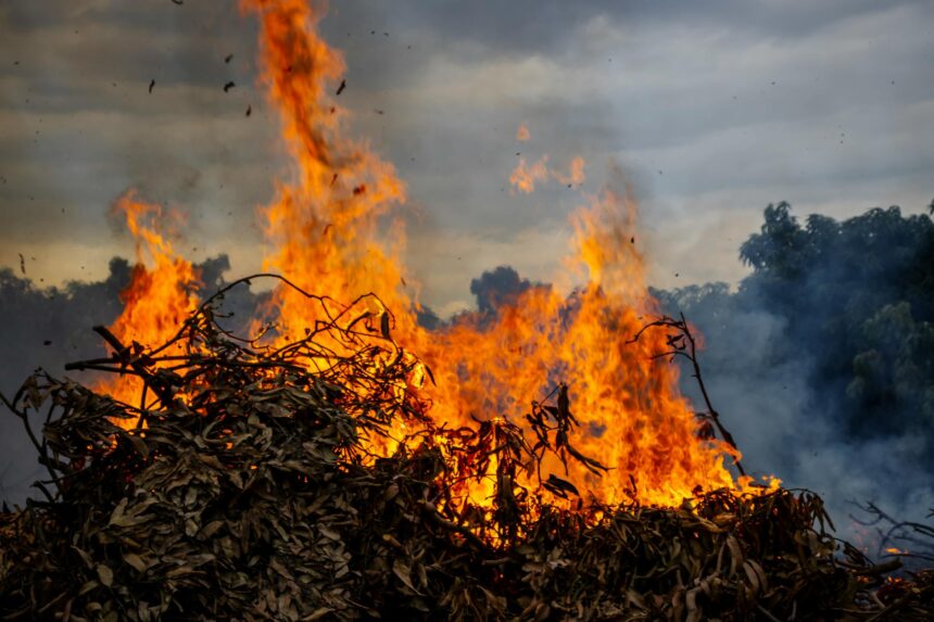 Medical professionals reviewing air quality data and wood stove health impact research