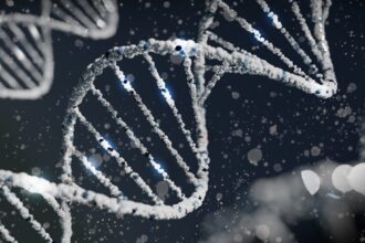 Scientific illustration showing genetic mechanisms of aging and youth trade-offs