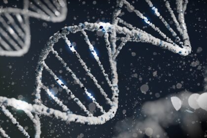 Scientific illustration showing genetic mechanisms of aging and youth trade-offs