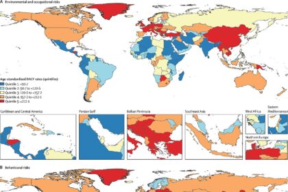 Global map showing substance use disorder burden across 204 countries, illustrating corrected epidemiological data from 1990 to 2023