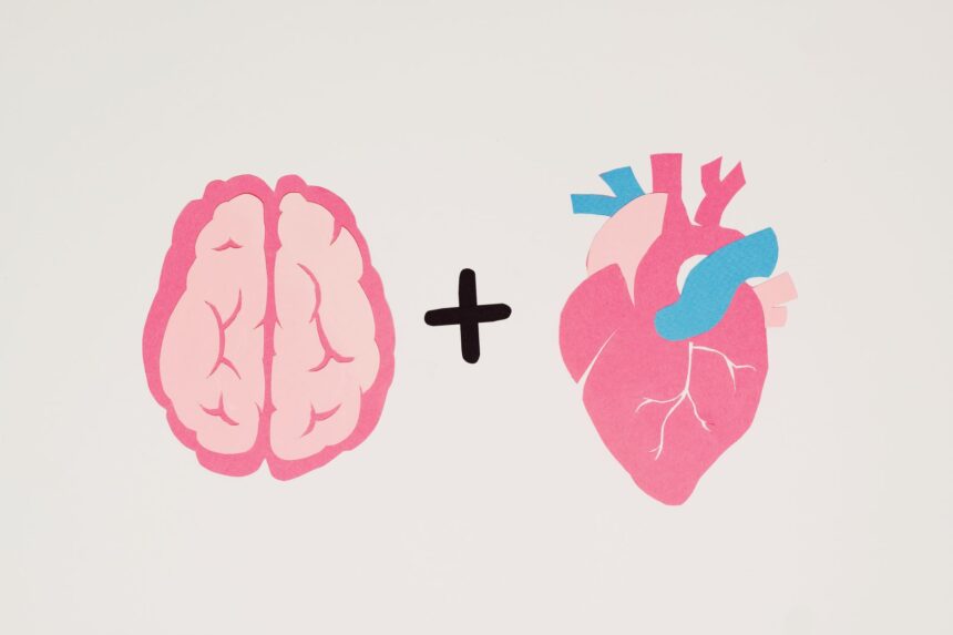 Medical illustration showing interconnected heart and brain health management protocols