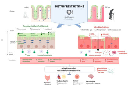 Scientific illustration of diverse gut microorganisms including bacteria, viruses and fungi