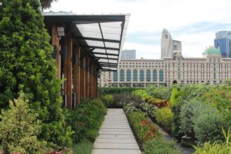 ICU patient in rooftop garden with medical equipment and natural surroundings