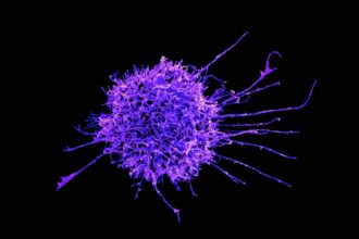 Diagram showing immune cell types and their roles in detection, coordination, and defense
