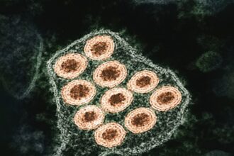 Diagram illustrating influenza transmission mechanisms: viral shedding, aerosol generation, and contact duration