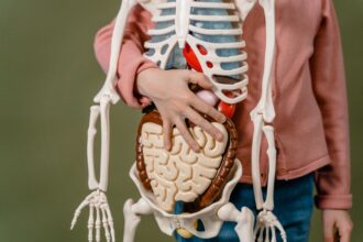 Brain scan and gut microbiome illustration showing intermittent fasting effects