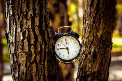 Scientific illustration of genetic clock mechanisms controlling biological development processes