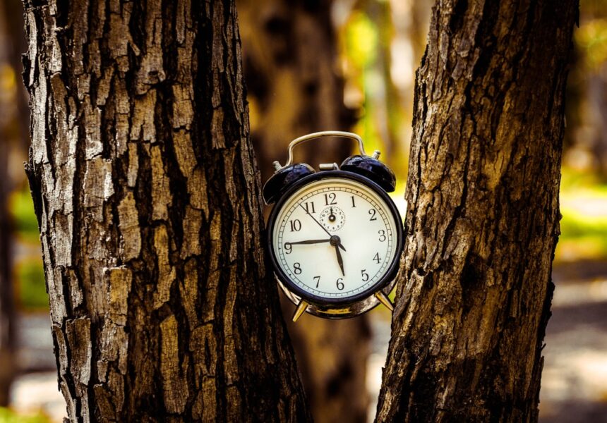 Scientific illustration of genetic clock mechanisms controlling biological development processes