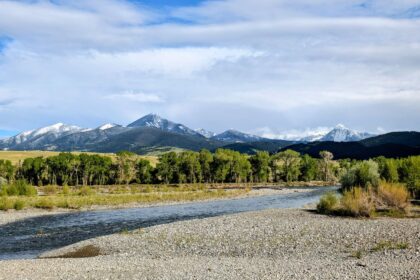 Healthcare policy document with Montana state outline and budget charts