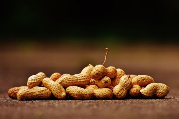 Infographic showing 4% improvement in cerebral blood flow from daily peanut consumption compared to 10-year aging decline