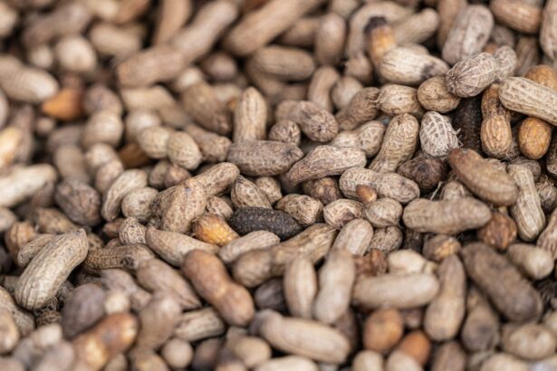 Infographic comparing peanut intervention effect on cerebral perfusion to age-related decline