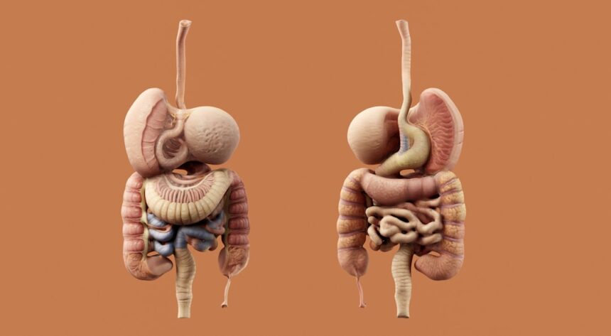 Medical illustration showing targeted cancer therapy mechanism
