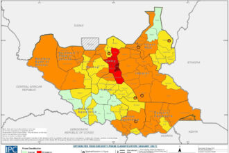 Humanitarian crisis in South Sudan showing statistics on food insecurity and child malnutrition