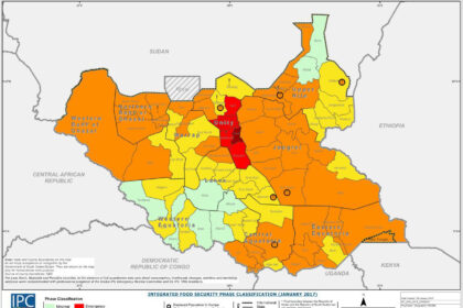 Humanitarian crisis in South Sudan showing statistics on food insecurity and child malnutrition