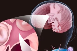 Scientific illustration of brain inflammation pathways in Alzheimer's disease research