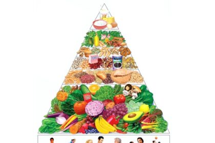 Updated 2025-2030 Food Pyramid showing emphasis on fruits, vegetables, proteins, and healthy fats