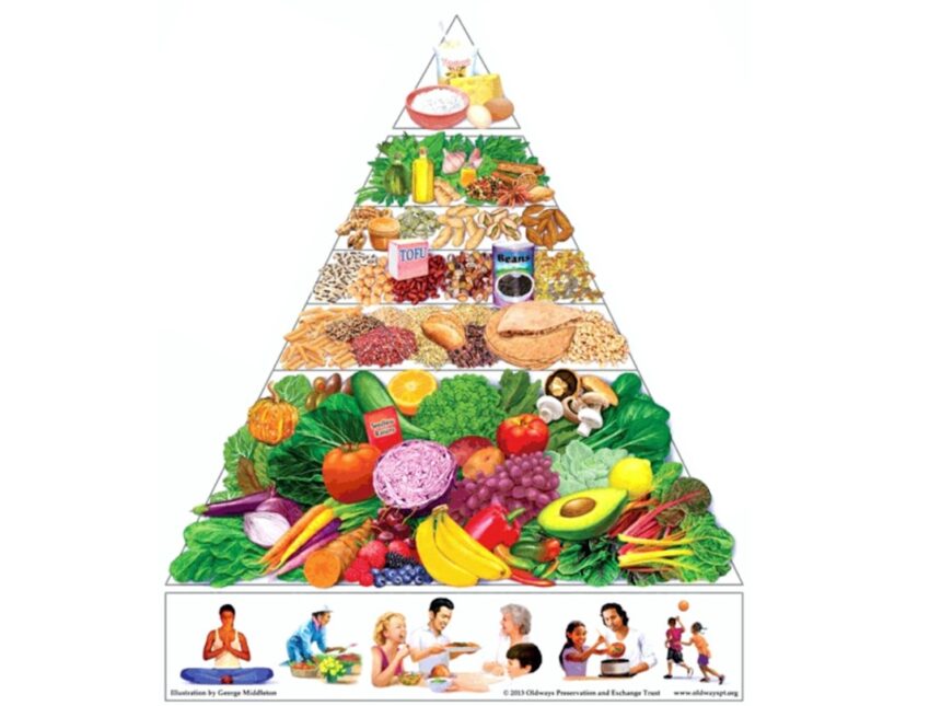 Updated 2025-2030 Food Pyramid showing emphasis on fruits, vegetables, proteins, and healthy fats