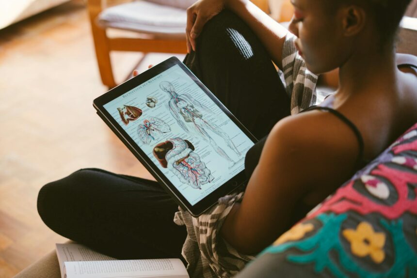 International health organisations collaborating on One Health education initiative