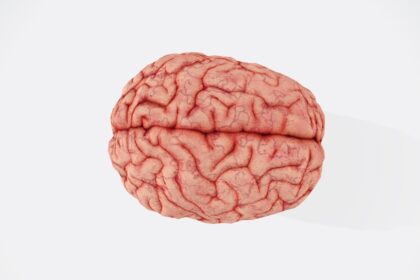 Illustration of Tau protein transport between neurons in Alzheimer's disease pathology