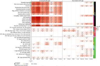 Scientific illustration of DNA methylation and biological aging clock technology